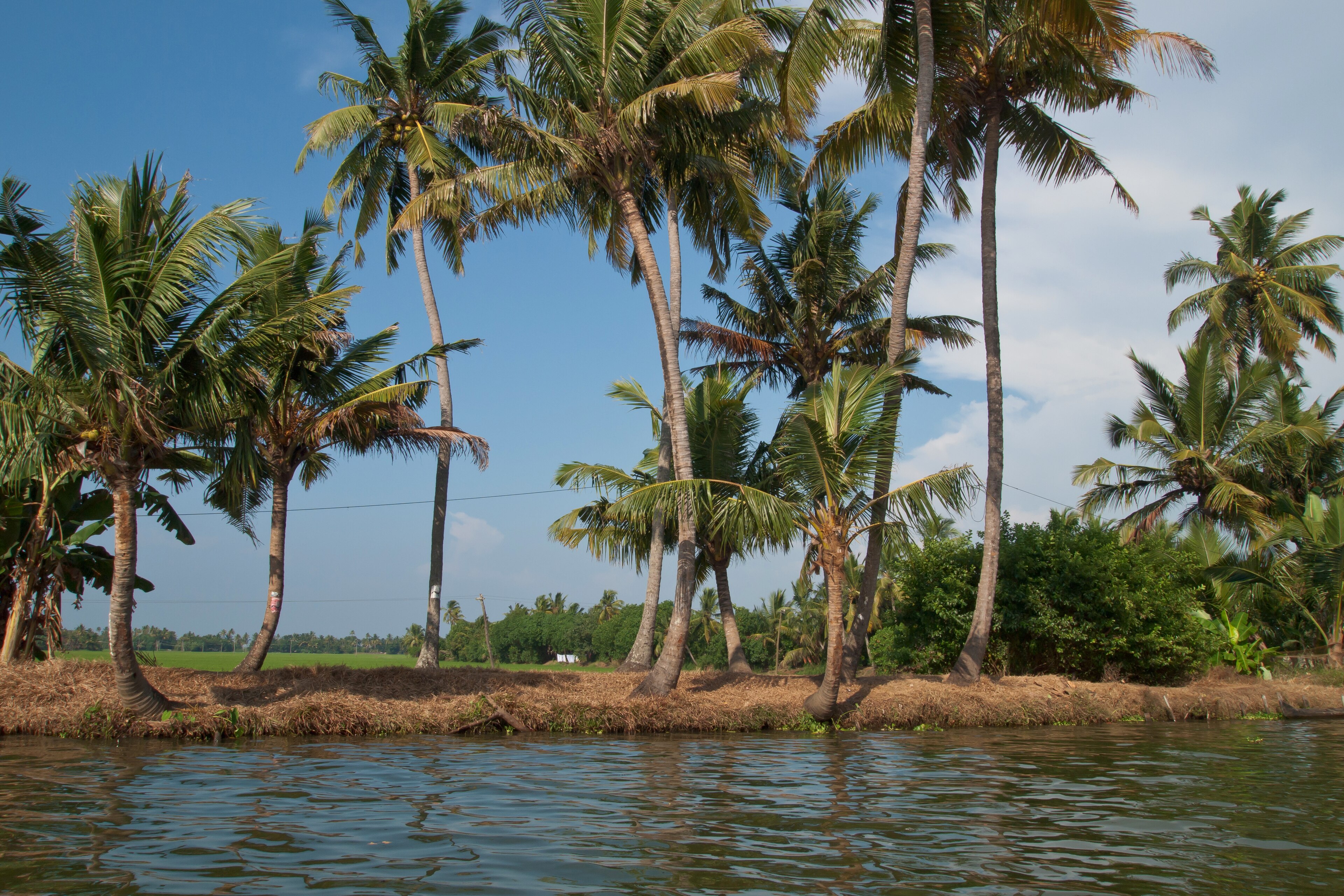 06 Days Kerala Honeymoon Tour — Kerala