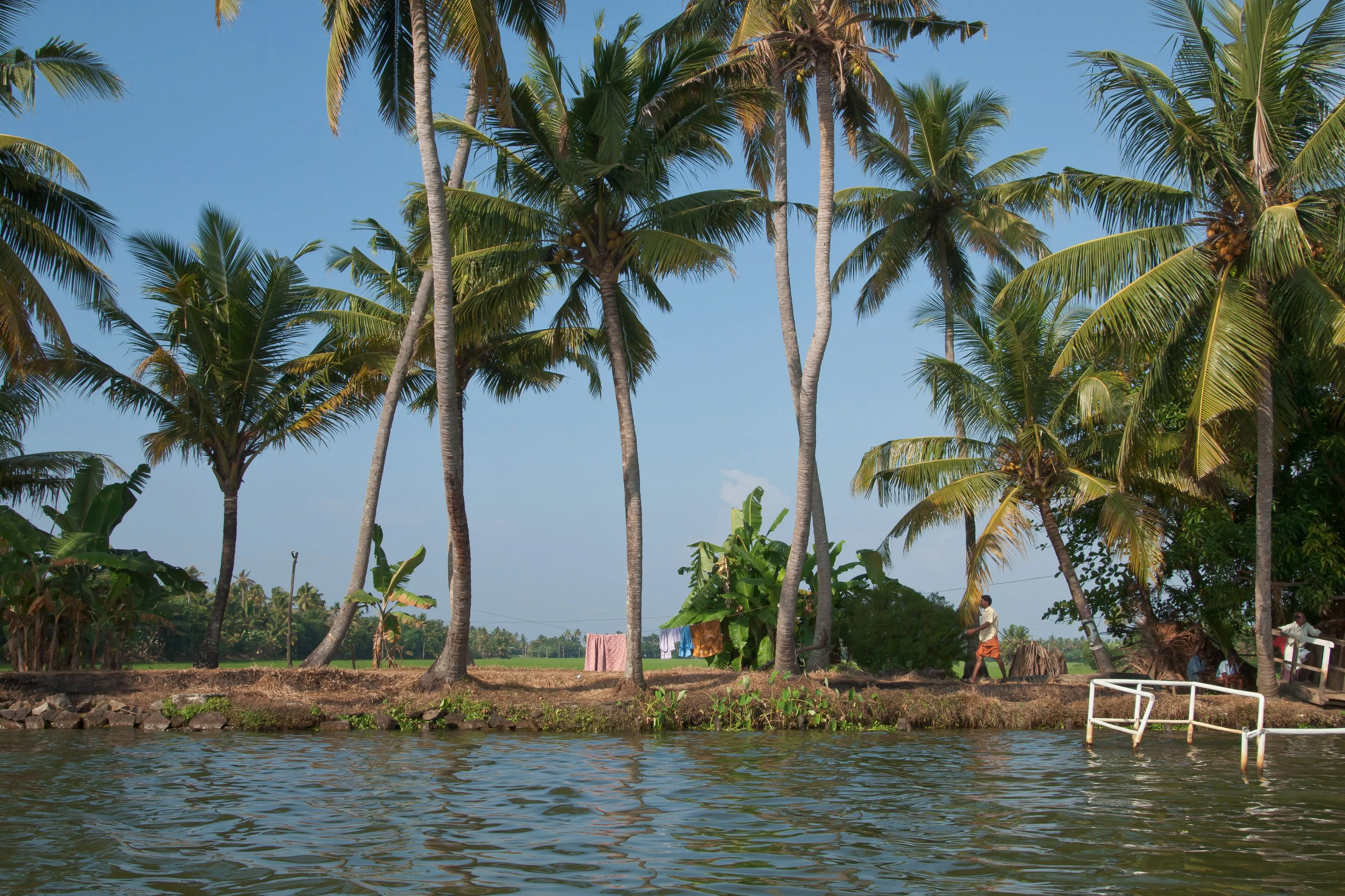 Chottanikkara Bhagavathi Temple, Kerala — A revered temple near Kochi.